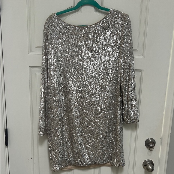 Elegant Silver Sequin Dress - Picture 2 of 4